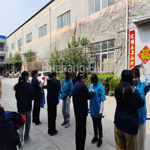 Huahang Filter Happy Womens Day3 Huahang Filter Happy Womens Day3