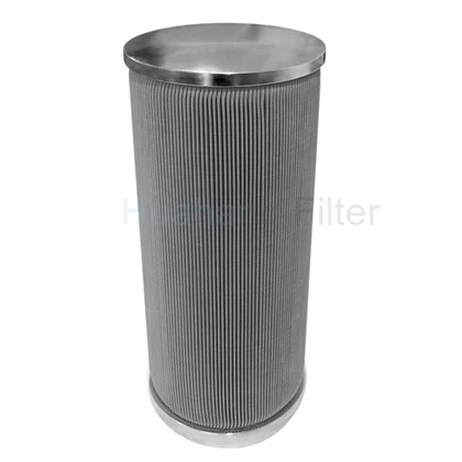 RYL100A-010W عنصر مرشح ذوبان البوليمر